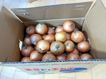 【ふるさと納税】ポイント終了まであと5日！「野菜系返礼品」ベスト3と「今年は諦める商品」