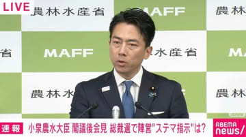 小泉大臣“ステマ指示疑惑”を謝罪「私がもっと強ければ」「私自身も知らなかった」「責任は私」 記者「総裁公選規程に反しているのでは？」と追及
