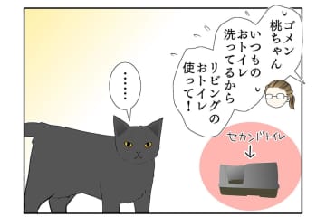 【マンガ・老猫日誌＃19】老猫、異様なまでに急かす…18歳の元保護猫・桃姐