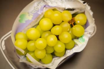 「シャインマスカット」野菜のプロおすすめの選び方　買うときは「アレ」の色をみて