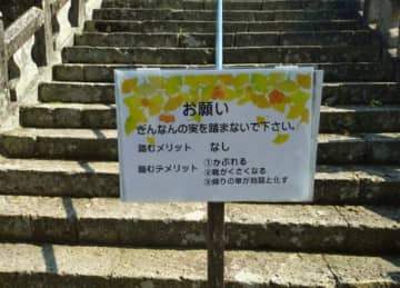 とある看板が伝える銀杏（ぎんなん）の恐怖「帰りの車が地獄と化す」切実すぎるデメリットに「散々な言われようで草」