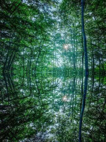 山形・朝日町の「空気を祀る神社」が神秘的で美しい　森の中の幻想世界...これはいったいどんな場所？