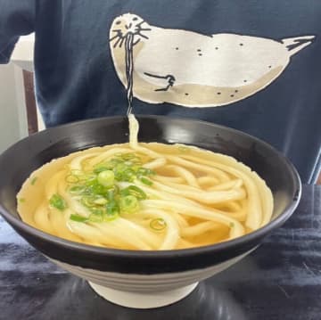 脳がバグる…夫から届いた『うどん食べるアザラシ（自撮り）』が「すごいアイデアといい構図」と反響。その真相は？