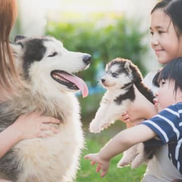 犬から人間にうつる『人畜共通感染症』7選　危険な症状や普段からできる予防法とは？