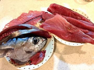 【ふるさと納税】ポイント駆け込み必見！おすすめ返礼品まとめ
