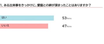 【調査】愛猫との絆が深まったきっかけは？ 飼い主の声と距離を縮める方法を獣医師が解説