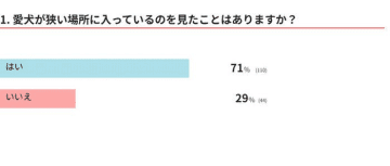 【調査】愛犬は狭い場所に入る？　狭い場所に入るときの気持ちを獣医師が解説