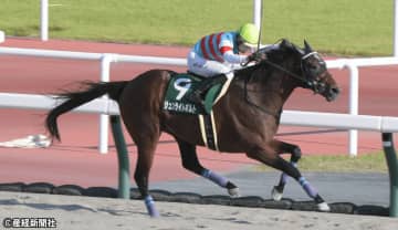 【シリウスS】近年はハンデを背負っている馬の方が好走している!? 過去10年の傾向から考える３連単を的中させる戦術とは！