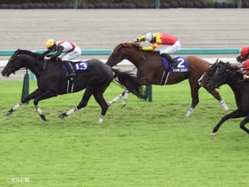 【スプリンターズＳ】①人気が４連敗中！軸候補となる馬とは！？三連単を的中させる軸馬の狙い方