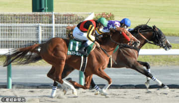 【シリウスS】６キロ以上の馬体増だと厳しいか？ 過去10年の傾向から見えてくる買えない馬とは