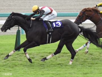 【スプリンターズＳ】人気やステップ問わず気配のある馬は残さず拾う！３着候補に一考すべき馬とは！？三連単を的中させる相手馬の狙い方