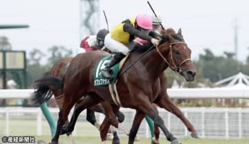 【シリウスS】斤量２キロ以上減の５・６歳馬に注目！ 過去10年の傾向から見える波乱の主役となり得る馬とは！？