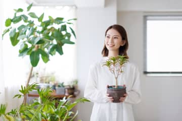 風水で運気を下げるNGインテリアとは？絶対に避けたい家具や配置を解説