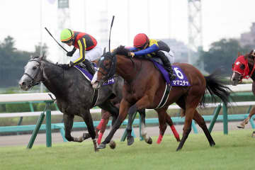 【スプリンターズS】ママコチャ 2年ぶりの王座奪還へ 自分の競馬をするだけ