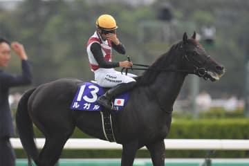 【スプリンターズS】ルガル激走の予感！苦難を乗り越えて迎える2度目の秋の中山