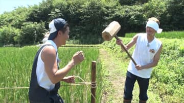 『ザ！鉄腕！DASH!!』DASH村25年目の米作り　後輩たちの成長に松岡昌宏「なんか頼もしいな」