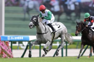 【新馬/阪神4R】キズナ産駒 ホワイトオーキッドがデビューV