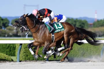 【シリウスS】伏兵ホウオウルーレットの末脚が炸裂