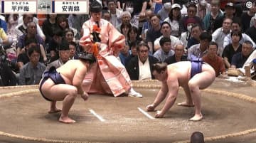 「ホントお綺麗です」大相撲客席に“水の女王”の姿 “肩出し”健康美に「姿勢がキレイ」反響続々