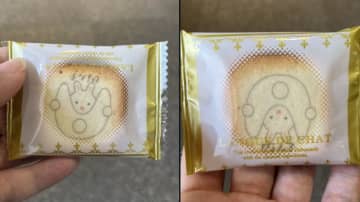 投稿主「構図ってほんと大事〜」見る向きで印象が180度変わる『うさぎのお菓子』が話題に！Xでは「天橋立で股のぞきをしているうさぎにもみえますね」の声も