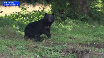 全国でクマ被害相次ぐ　住宅近くにも…カメラが姿捉える