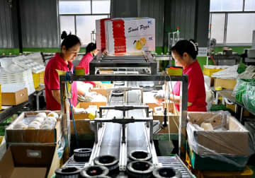 中国梨「鴨梨」の出荷がピーク　河北省泊頭市