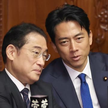 小泉進次郎が総理・総裁なら「岸田外相」カムバック説…意外と本人はニンマリ