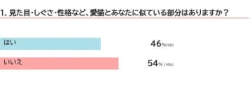 いつの間にかそっくり？猫と飼い主さんは似るのか獣医師が解説
