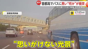 「うわ！！」首都高でバスに衝突した“鳥”が目の前に落下し急ブレーキ　「通話中で気づかず？」“すれ違いざま”積荷接触のトラックが当て逃げ
