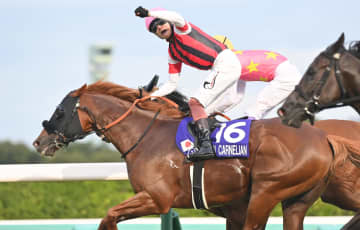 【スプリンターズS】大舞台で負け続けた天才と素質馬が掴んだ栄光