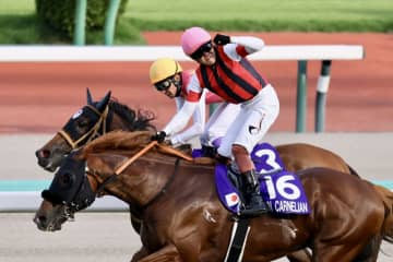 【スプリンターズS】ウインカーネリアンが大接戦を制する…三浦皇成は待望のG1初制覇