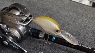 「ライバルが2人、なかなか勝たせてくれない…」減水はやばいレベルに。それでも秋らしいクランキングは必須！