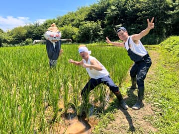 『DASH村』穂を出し始めた米に害鳥＆害獣対策！イノシシが嫌う意外な“色”とは？