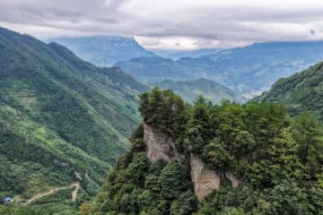 生物多様性の保全に成果　中国重慶・金仏山自然保護区