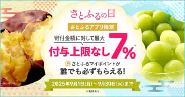 【まだ間に合う】ふるさと納税、ポイント付与禁止目前！ポイ活専門家が最後のチャンスを最大限生かすコツを解説