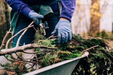 棘のある枝はこう捨てて。ゴミ清掃芸人が公開した“丁寧な貼り紙”に「気遣いが素晴らしい 」「優しい世界」と反響
