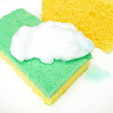 【本物そっくり！】ちゃんと食べられる「スポンジ」スポンジケーキでみんなを驚かせよう！