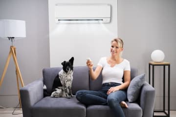愛犬がいるので先月はエアコンを「24時間」「1ヶ月」フル稼働。電気代はいくらになる？