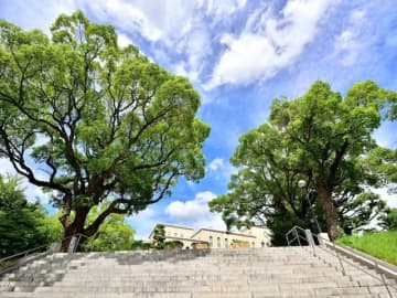神戸市9区で「教育熱心」だと思うエリア2位は「灘区」、では1位は？【2025年最新】