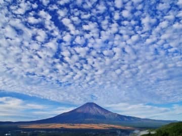 Q.うろこ雲、いわし雲、さば雲……秋の雲を見分けるコツはありますか？【歳時記の専門家が解説】