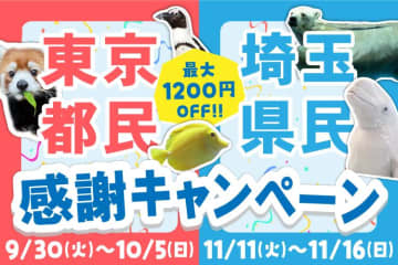 【八景島シーパラダイス】東京都民と埼玉県民はワンデーパスが最大1200円お得に楽しめるよ～！