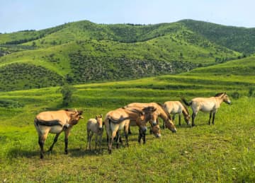 中国の生物圏保護区2カ所、ユネスコエコパークに登録