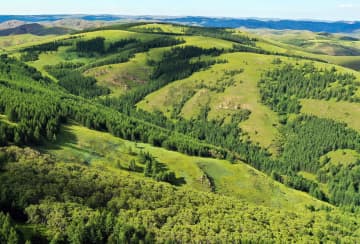 大青山生物圏保護区、ユネスコエコパークに登録　中国内モンゴル自治区
