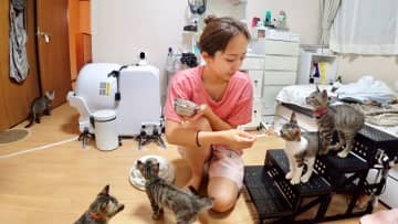 みりちゃむが預かる保護猫・うみママ一家がさまざまな“初めて”に挑戦！先住猫たちとの緊張の対面を経て、行動にとある変化が…