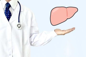 脂肪肝が進行しやすい季節は「秋」。その理由と対策を医師が解説