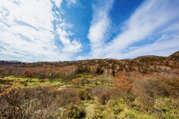 紅葉の時期に普段は入れない！「赤城白樺牧場 秘密の絶景ツアー」開催