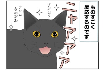 【マンガ・老猫日誌＃21】実はスイーツ女子な猫…18歳の元保護猫・桃姐