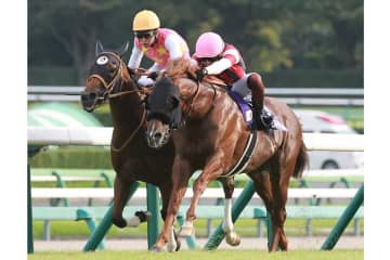 武豊、ゴール直後に三浦皇成へ掛けた一言「泣きそうになりました」　惜敗でも真っ先に祝福