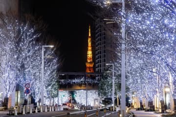 「けやき坂イルミネーション」25年も“白銀”の光の世界に、六本木ヒルズでクリスマスマーケットも