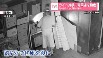 ライト片手に青果店を物色　「シイタケやブドウを…」